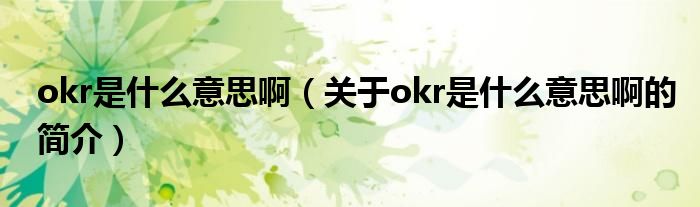 okr是什么意思?。P(guān)于okr是什么意思啊的簡介）