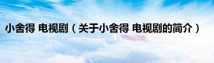 小舍得 電視?。P(guān)于小舍得 電視劇的簡(jiǎn)介）