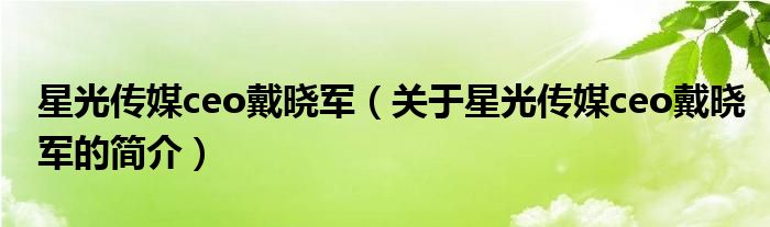 星光傳媒ceo戴曉軍（關(guān)于星光傳媒ceo戴曉軍的簡(jiǎn)介）