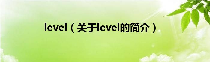 level（關(guān)于level的簡介）