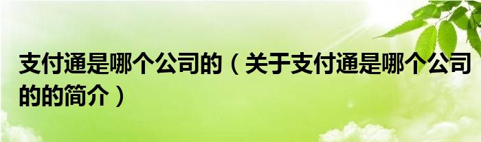 支付通是哪個公司的（關于支付通是哪個公司的的簡介）