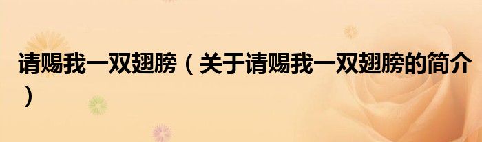 請(qǐng)賜我一雙翅膀（關(guān)于請(qǐng)賜我一雙翅膀的簡(jiǎn)介）