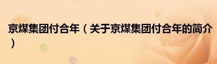 京煤集團(tuán)付合年（關(guān)于京煤集團(tuán)付合年的簡(jiǎn)介）