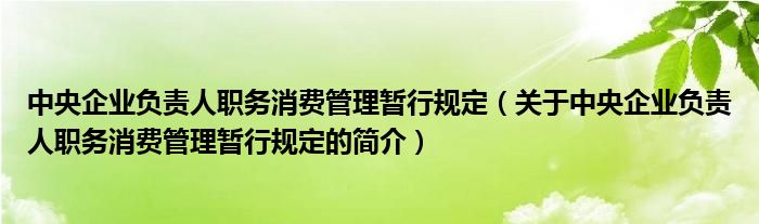 中央企業(yè)負(fù)責(zé)人職務(wù)消費管理暫行規(guī)定（關(guān)于中央企業(yè)負(fù)責(zé)人職務(wù)消費管理暫行規(guī)定的簡介）