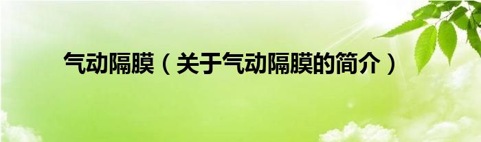 氣動(dòng)隔膜（關(guān)于氣動(dòng)隔膜的簡(jiǎn)介）