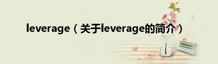 leverage（關(guān)于leverage的簡(jiǎn)介）