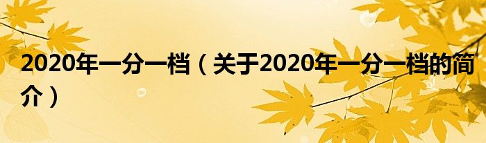 2020年一分一檔（關(guān)于2020年一分一檔的簡(jiǎn)介）