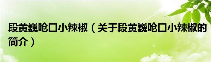 段黃巍嗆口小辣椒（關(guān)于段黃巍嗆口小辣椒的簡介）