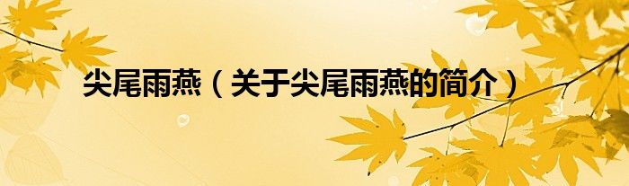 尖尾雨燕（關(guān)于尖尾雨燕的簡(jiǎn)介）