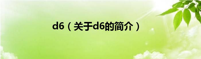 d6（關(guān)于d6的簡(jiǎn)介）