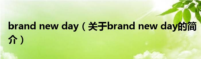 brand new day（關(guān)于brand new day的簡(jiǎn)介）