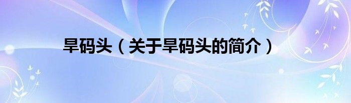 旱碼頭（關(guān)于旱碼頭的簡(jiǎn)介）