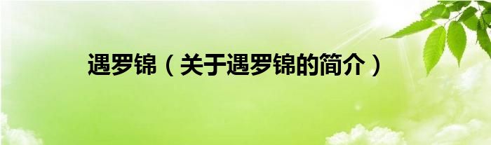 遇羅錦（關(guān)于遇羅錦的簡介）