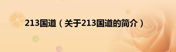 213國道（關(guān)于213國道的簡介）