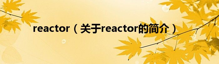 reactor（關(guān)于reactor的簡介）