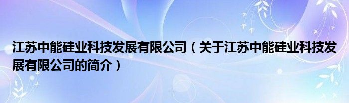 江蘇中能硅業(yè)科技發(fā)展有限公司（關(guān)于江蘇中能硅業(yè)科技發(fā)展有限公司的簡介）