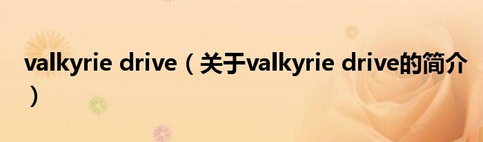 valkyrie drive（關(guān)于valkyrie drive的簡介）