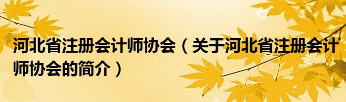 河北省注冊(cè)會(huì)計(jì)師協(xié)會(huì)（關(guān)于河北省注冊(cè)會(huì)計(jì)師協(xié)會(huì)的簡(jiǎn)介）