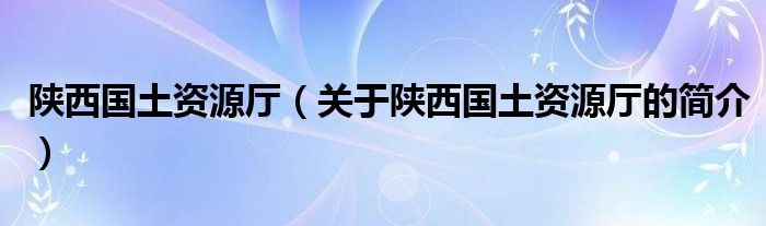 陜西國土資源廳（關(guān)于陜西國土資源廳的簡介）