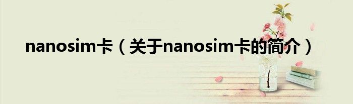 nanosim卡（關(guān)于nanosim卡的簡(jiǎn)介）