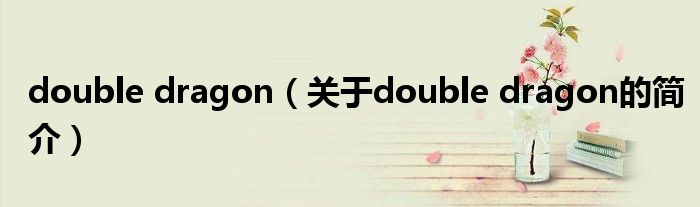 double dragon（關(guān)于double dragon的簡(jiǎn)介）