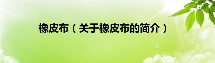 橡皮布（關(guān)于橡皮布的簡(jiǎn)介）