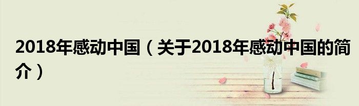 2018年感動中國（關于2018年感動中國的簡介）