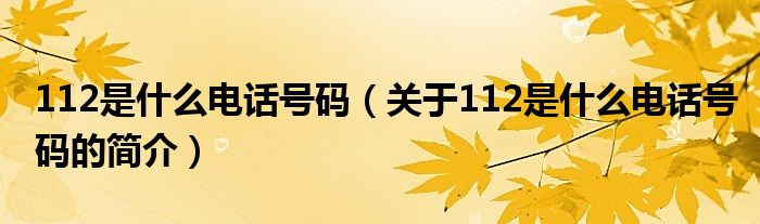 112是什么電話號(hào)碼（關(guān)于112是什么電話號(hào)碼的簡(jiǎn)介）