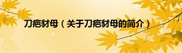 刀疤豺母（關(guān)于刀疤豺母的簡介）