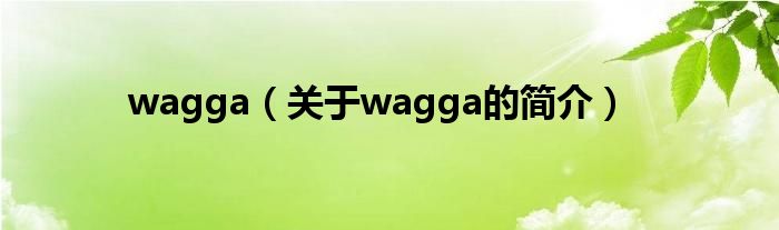 wagga（關(guān)于wagga的簡(jiǎn)介）