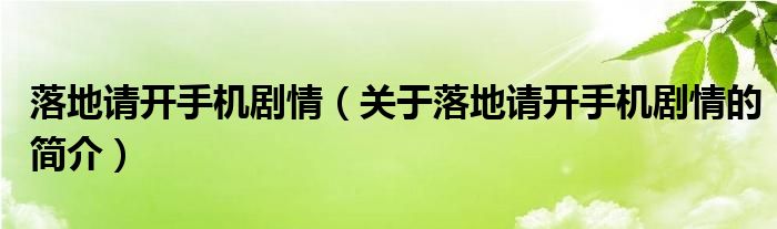 落地請開手機劇情（關于落地請開手機劇情的簡介）