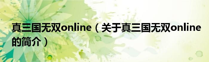 真三國無雙online（關(guān)于真三國無雙online的簡介）