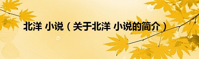 北洋 小說（關(guān)于北洋 小說的簡介）