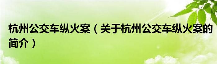 杭州公交車縱火案（關(guān)于杭州公交車縱火案的簡介）