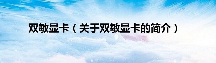 雙敏顯卡（關(guān)于雙敏顯卡的簡(jiǎn)介）