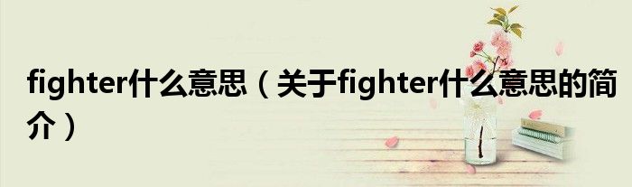 fighter什么意思（關(guān)于fighter什么意思的簡(jiǎn)介）