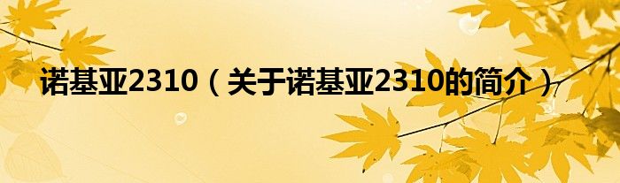 諾基亞2310（關(guān)于諾基亞2310的簡介）