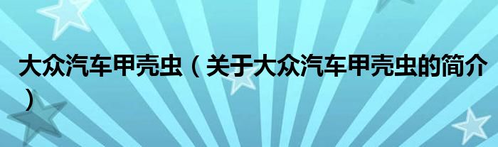 大眾汽車甲殼蟲（關(guān)于大眾汽車甲殼蟲的簡介）