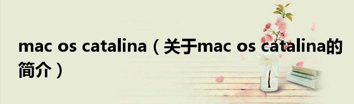 mac os catalina（關(guān)于mac os catalina的簡介）