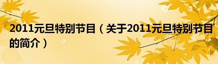 2011元旦特別節(jié)目（關于2011元旦特別節(jié)目的簡介）