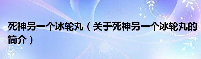 死神另一個冰輪丸（關(guān)于死神另一個冰輪丸的簡介）