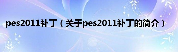 pes2011補丁（關(guān)于pes2011補丁的簡介）