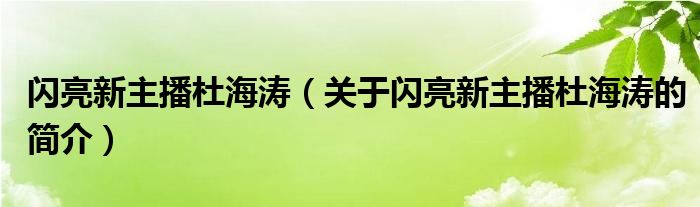 閃亮新主播杜海濤（關于閃亮新主播杜海濤的簡介）