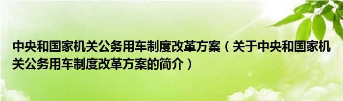 中央和國家機關公務用車制度改革方案（關于中央和國家機關公務用車制度改革方案的簡介）