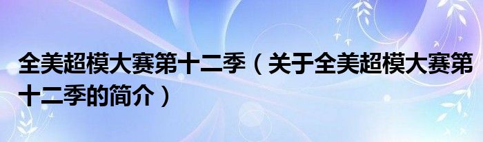 全美超模大賽第十二季（關(guān)于全美超模大賽第十二季的簡介）