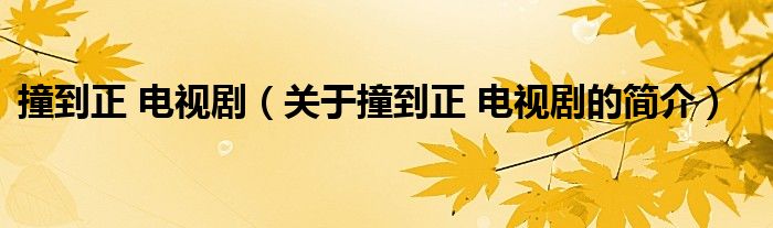 撞到正 電視?。P(guān)于撞到正 電視劇的簡(jiǎn)介）