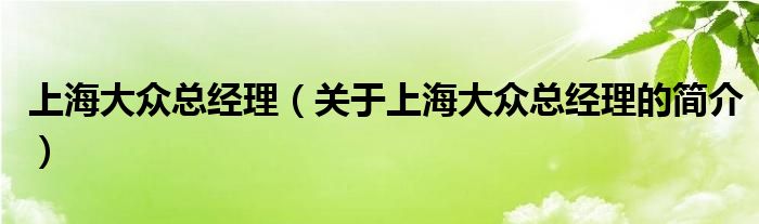 上海大眾總經(jīng)理（關于上海大眾總經(jīng)理的簡介）