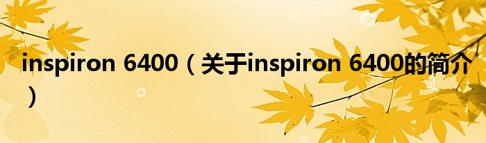 inspiron 6400（關(guān)于inspiron 6400的簡介）