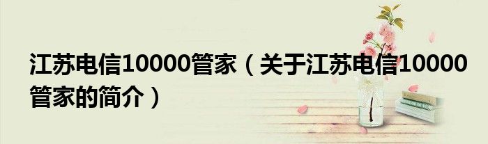 江蘇電信10000管家（關于江蘇電信10000管家的簡介）