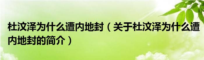 杜汶澤為什么遭內地封（關于杜汶澤為什么遭內地封的簡介）